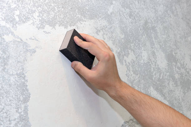 Best Mold Remediation for Healthcare Facilities  in Glenwood, IL