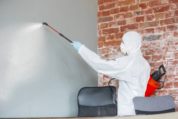 Best Indoor Air Quality Assessment  in Glenwood, IL