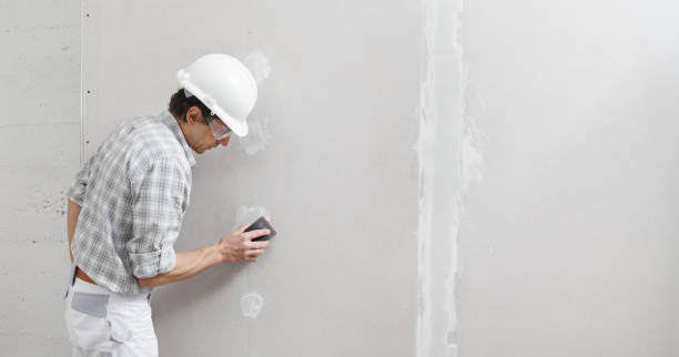 Glenwood, IL Mold Removal Company