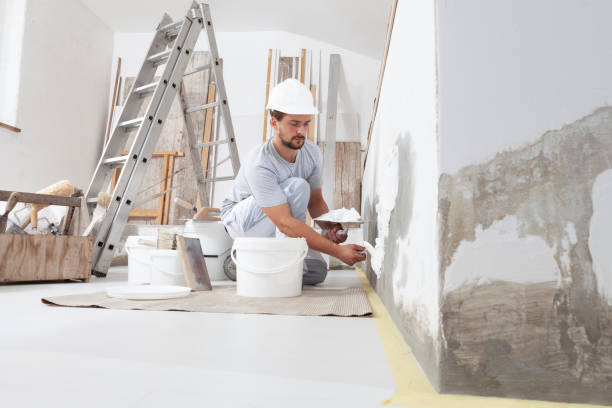 Best Real Estate Mold Inspection  in Glenwood, IL