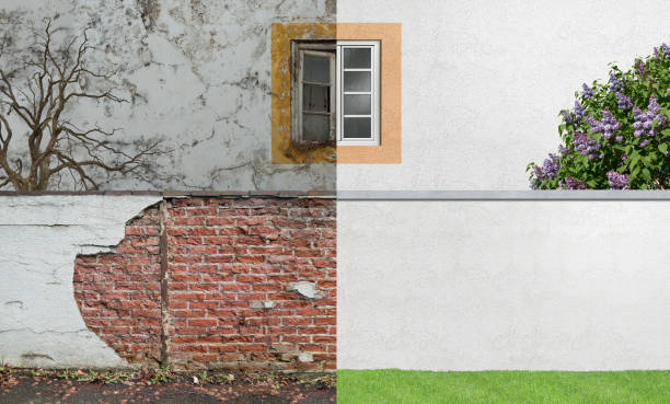 Best Mold Removal for HVAC Installations  in Glenwood, IL