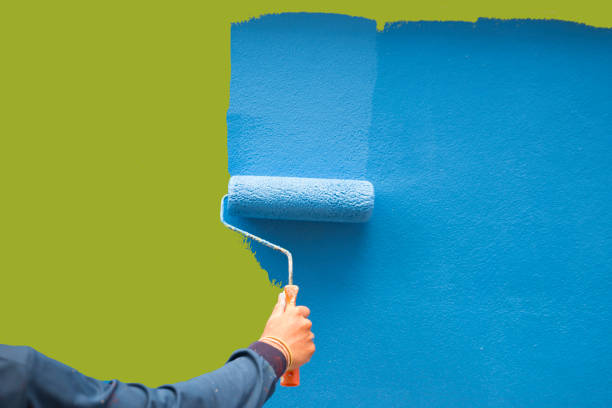 Best Post-Construction Mold Inspection  in Glenwood, IL
