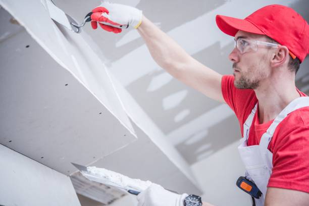 Best Environmental Consulting for Mold Prevention  in Glenwood, IL