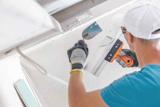 Best Asbestos and Lead Testing During Mold Inspection  in Glenwood, IL